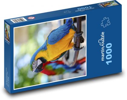 Vogel - Papagei - Puzzle - 1000 Teile