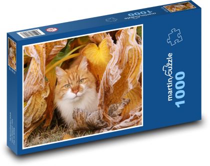Mačka - domáce zviera, jeseň - Puzzle 1000 dielikov, rozmer 60x46 cm