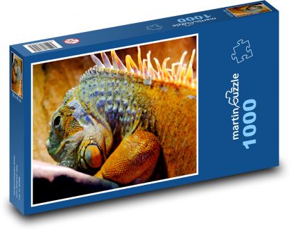 Leguán - plaz - puzzle 1000 dílků