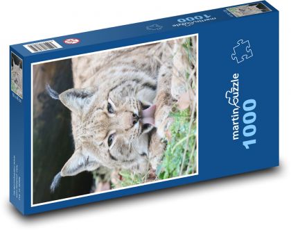 Ein Luchs. - Puzzle - 1000 Teile