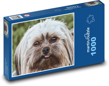 Pies - Terier - Puzzle 1000 elementów, rozmiar 60x46 cm