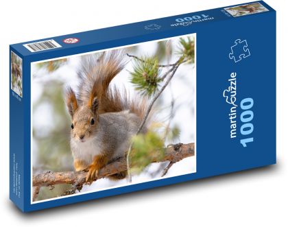 Veverka - hlodavec - puzzle 1000 dílků