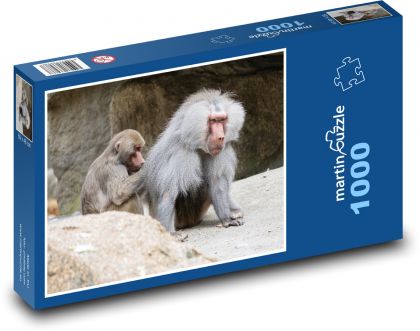 Affe - Pavian - Puzzle - 1000 Teile