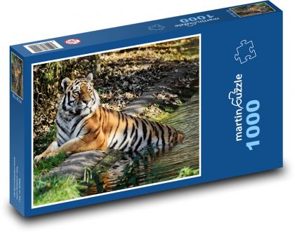 Tiger vo vode - Puzzle 1000 dielikov, rozmer 60x46 cm