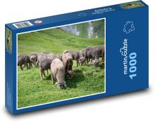 Pasúce sa ovce Puzzle 1000 dielikov - 60 x 46 cm 