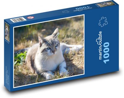 Toulavá kočka - puzzle 1000 dílků