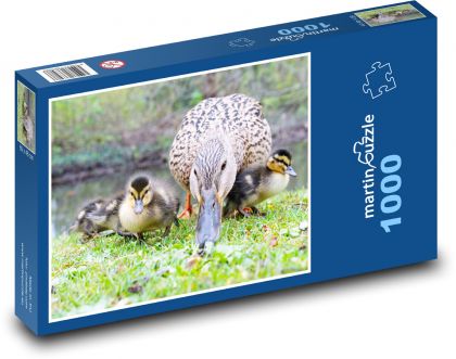 Vodní ptactvo - kachňata - puzzle 1000 dílků