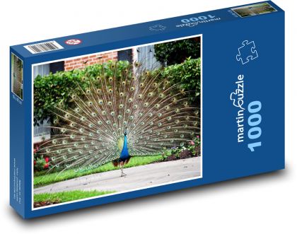 Vták - páv - Puzzle 1000 dielikov, rozmer 60x46 cm