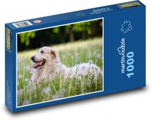 Lúka - pes Puzzle 1000 dielikov - 60 x 46 cm
