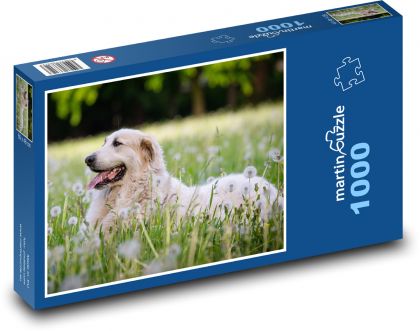Lúka - pes - Puzzle 1000 dielikov, rozmer 60x46 cm