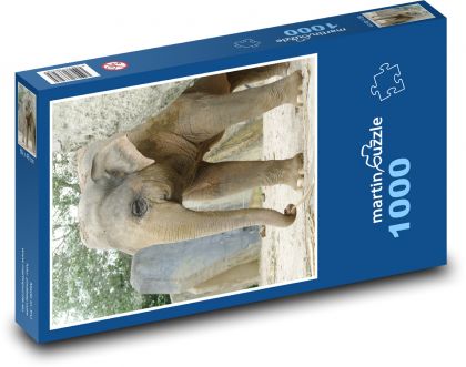 Slon indický - puzzle 1000 dílků