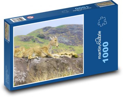 Zvíře - koza - puzzle 1000 dílků