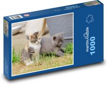 Mačiatka - mačky Puzzle 1000 dielikov - 60 x 46 cm 