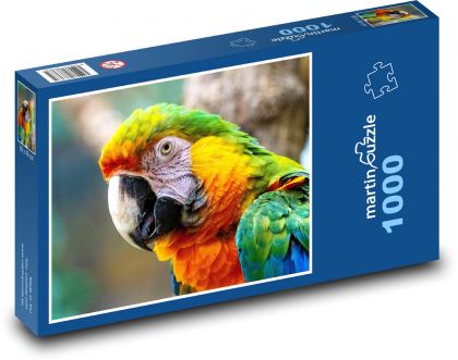 Bird - parrot - Puzzle 1000 pieces, size 60x46 cm 