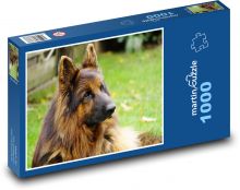 Pastevecký pes Puzzle 1000 dílků - 60 x 46 cm