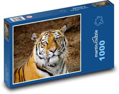 Tygrysia głowa - Puzzle 1000 elementów, rozmiar 60x46 cm