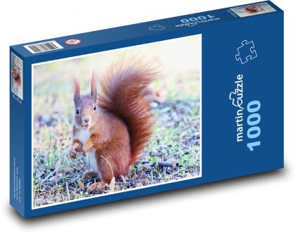 Animal - Squirrel - Puzzle 1000 pieces, size 60x46 cm 