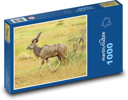 Divoká zver - antilopa - Puzzle 1000 dielikov, rozmer 60x46 cm