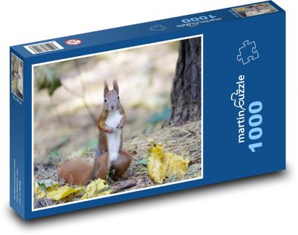 Zvíře - veverka - puzzle 1000 dílků