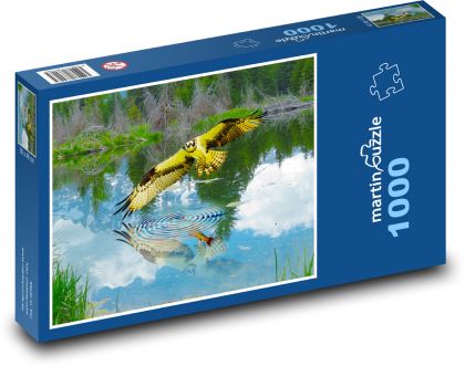 Morský orol - Puzzle 1000 dielikov, rozmer 60x46 cm