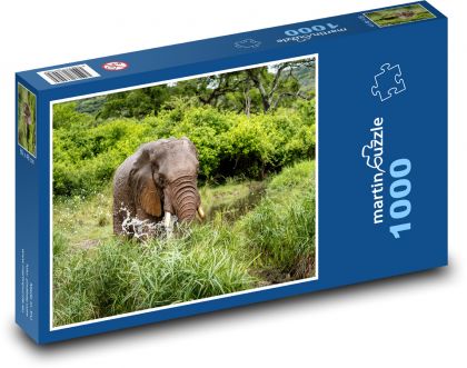 Safari - słoń afrykański - Puzzle 1000 elementów, rozmiar 60x46 cm