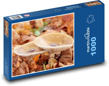 Grzyby - muchomor - Puzzle 1000 elementów, rozmiar 60x46 cm