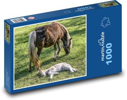 Stute - Fohlen - Puzzle - 1000 Teile