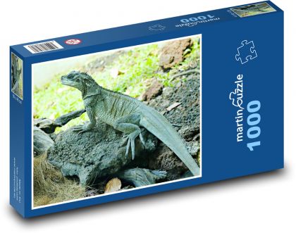 Ještěrka - agama - Puzzle 1000 dílků, rozměr 60x46 cm