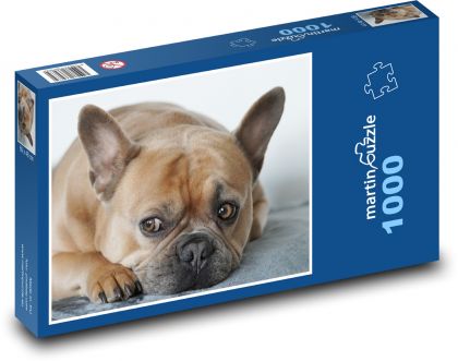 Französische Bulldogge - Hund - Puzzle - 1000 Teile