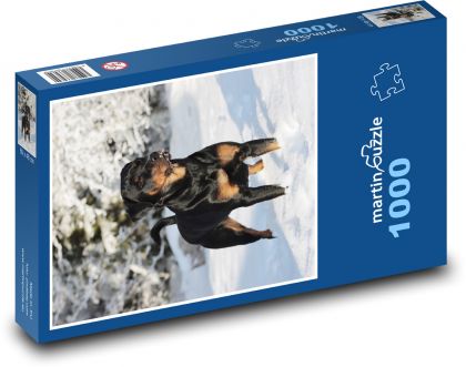 Rottweiler - Hund im Schnee - Puzzle - 1000 Teile
