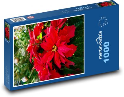 Vianočná hviezda - kvetina - Puzzle 1000 dielikov, rozmer 60x46 cm