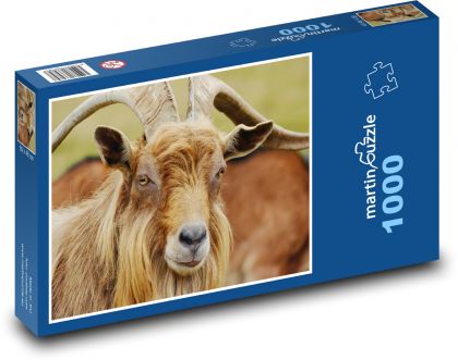 Horská koza - puzzle 1000 dílků