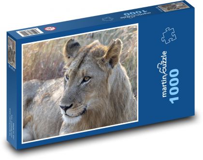 Lvice - divoké zvíře - puzzle 1000 dílků