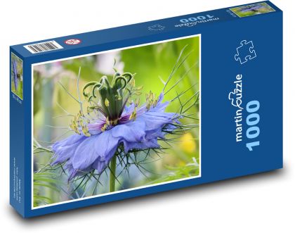 Cornflower - Puzzle 1000 pieces, size 60x46 cm 