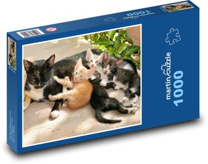 Kočky - puzzle 1000 dílků