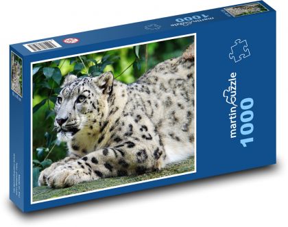 Leopard - Puzzle 1000 dielikov, rozmer 60x46 cm