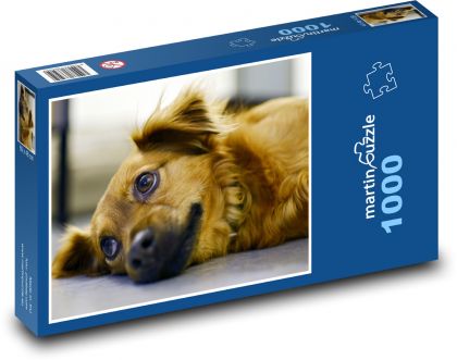 Roztomilý pes - puzzle 1000 dílků