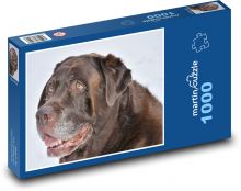 Retriever - Dog Puzzle 1000 pieces - 60 x 46 cm 