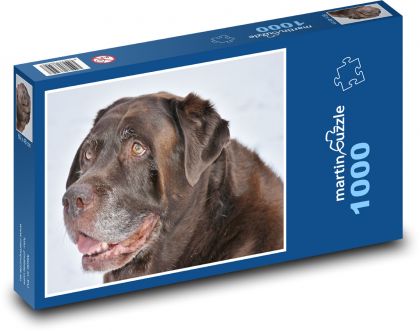Retriever - pes - Puzzle 1000 dielikov, rozmer 60x46 cm
