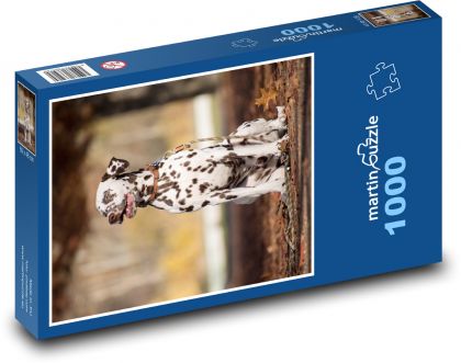 Dalmatin - pes - Puzzle 1000 dílků, rozměr 60x46 cm