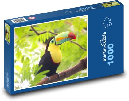 Tukan - vták - Puzzle 1000 dielikov, rozmer 60x46 cm