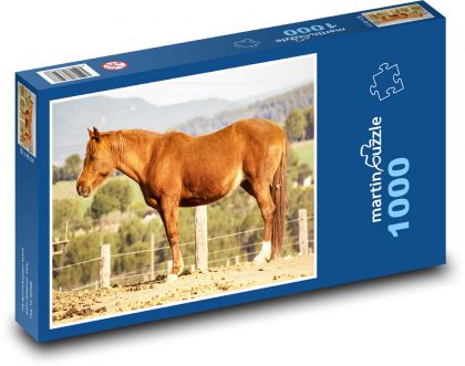 Kůň - puzzle 1000 dílků