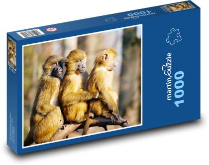 Małpa - pawian - Puzzle 1000 elementów, rozmiar 60x46 cm