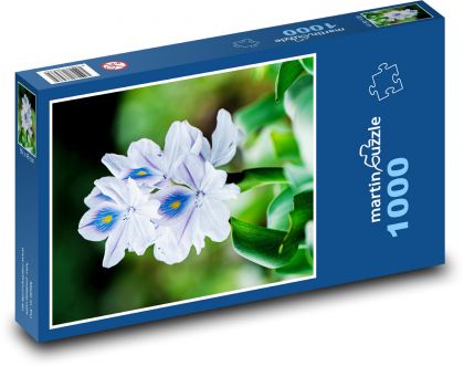 Fialový kvet - Puzzle 1000 dielikov, rozmer 60x46 cm