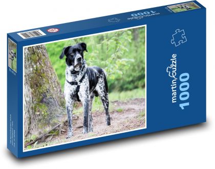 Německý ohař - krátkosrstý - puzzle 1000 dílků
