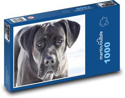 Pies - pies - Puzzle 1000 elementów, rozmiar 60x46 cm