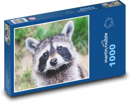 Mýval. - Puzzle 1000 dielikov, rozmer 60x46 cm