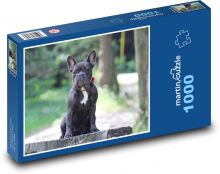 Francúzsky buldoček Puzzle 1000 dielikov - 60 x 46 cm