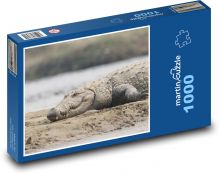 Zvíře - krokodýl Puzzle 1000 - 60x46 cm