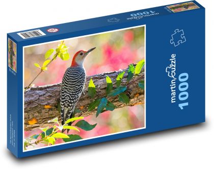 Dzięcioł czerwonobrzuchy - Puzzle 1000 elementów, rozmiar 60x46 cm